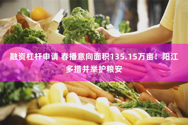 融资杠杆申请 春播意向面积135.15万亩！阳江多措并举护粮安